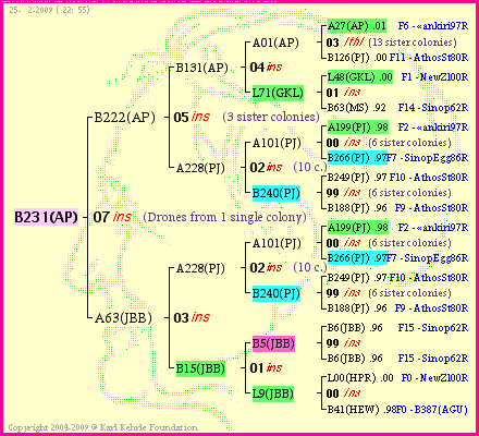 Pedigree of B231(AP) :
four generations presented