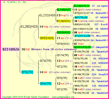 Pedigree of B231(HGS) :
four generations presented<br />it's temporarily unavailable, sorry!