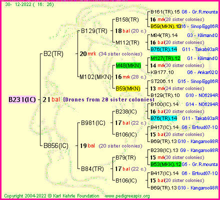 Pedigree of B231(IC) :
four generations presented
it's temporarily unavailable, sorry!