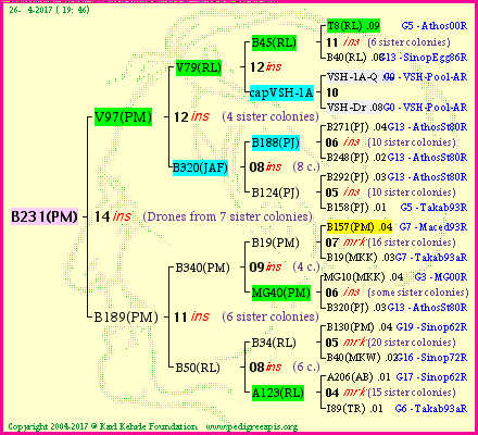 Pedigree of B231(PM) :
four generations presented