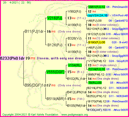 Pedigree of B232(PM)1dr :
four generations presented
it's temporarily unavailable, sorry!