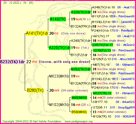 Pedigree of B232(TK)1dr :
four generations presented
it's temporarily unavailable, sorry!