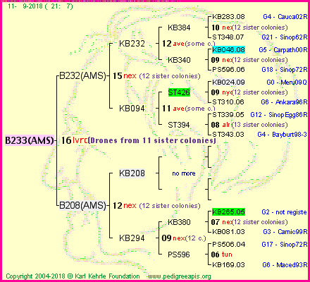 Pedigree of B233(AMS) :
four generations presented<br />it's temporarily unavailable, sorry!