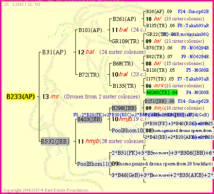 Pedigree of B233(AP) :
four generations presented