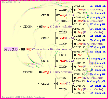 Pedigree of B233(CF) :
four generations presented