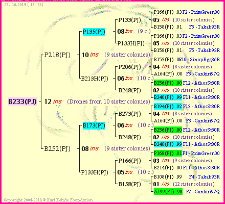 Pedigree of B233(PJ) :
four generations presented