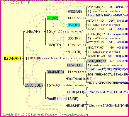 Pedigree of B234(AP) :
four generations presented<br />it's temporarily unavailable, sorry!