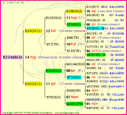 Pedigree of B234(HGS) :
four generations presented
it's temporarily unavailable, sorry!