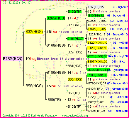 Pedigree of B235(HGS) :
four generations presented
it's temporarily unavailable, sorry!