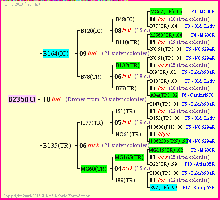 Pedigree of B235(IC) :
four generations presented