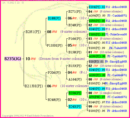 Pedigree of B235(JG) :
four generations presented