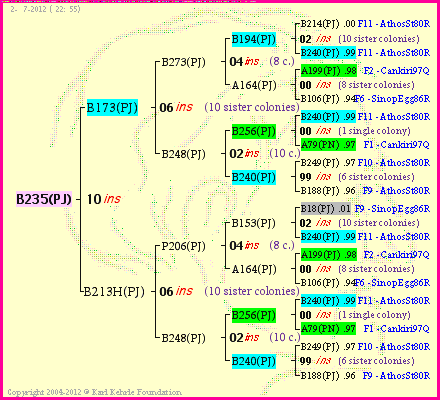 Pedigree of B235(PJ) :
four generations presented
it's temporarily unavailable, sorry!