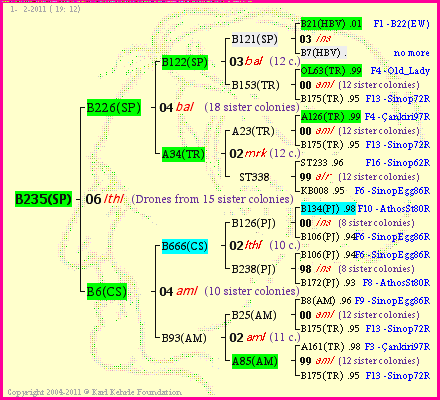 Pedigree of B235(SP) :
four generations presented