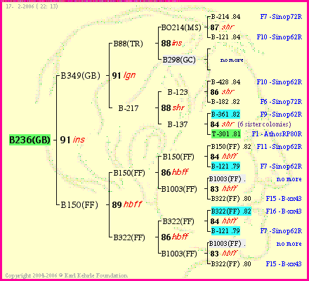 Pedigree of B236(GB) :
four generations presented
it's temporarily unavailable, sorry!