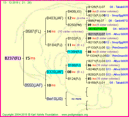 Pedigree of B237(FL) :
four generations presented<br />it's temporarily unavailable, sorry!