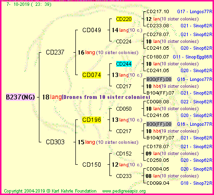 Pedigree of B237(NG) :
four generations presented<br />it's temporarily unavailable, sorry!