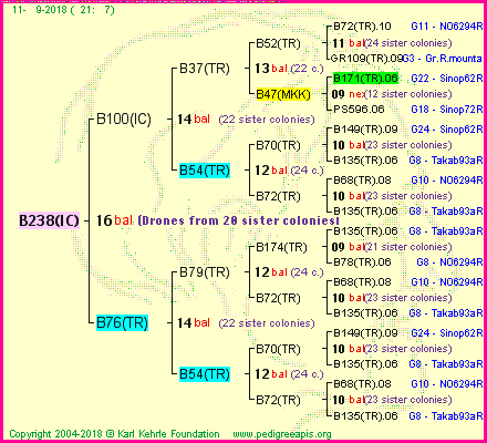 Pedigree of B238(IC) :
four generations presented
it's temporarily unavailable, sorry!