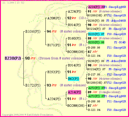 Pedigree of B238(PJ) :
four generations presented<br />it's temporarily unavailable, sorry!