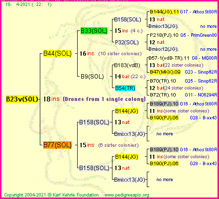 Pedigree of B23v(SOL) :
four generations presented
it's temporarily unavailable, sorry!