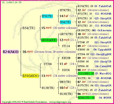 Pedigree of B24(AKO) :
four generations presented<br />it's temporarily unavailable, sorry!
