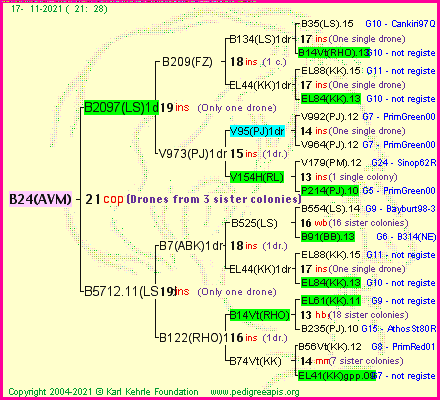 Pedigree of B24(AVM) :
four generations presented
it's temporarily unavailable, sorry!