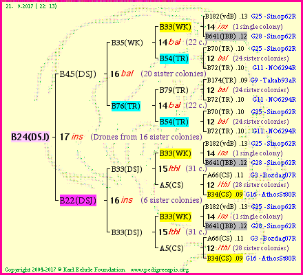 Pedigree of B24(DSJ) :
four generations presented
it's temporarily unavailable, sorry!