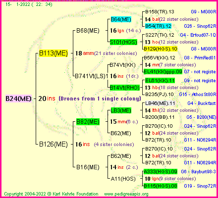 Pedigree of B24(ME) :
four generations presented
it's temporarily unavailable, sorry!