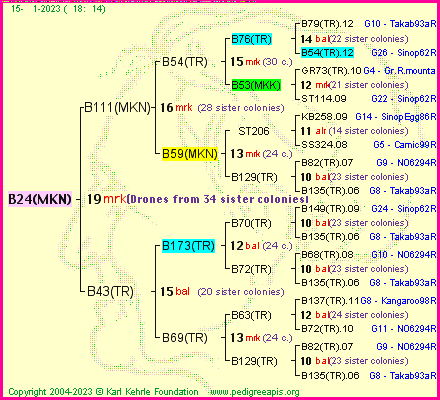 Pedigree of B24(MKN) :
four generations presented
it's temporarily unavailable, sorry!