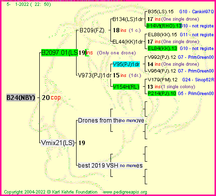 Pedigree of B24(NBY) :
four generations presented
it's temporarily unavailable, sorry!