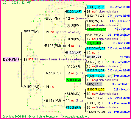 Pedigree of B24(PM) :
four generations presented
it's temporarily unavailable, sorry!