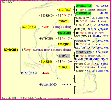 Pedigree of B24(SOL) :
four generations presented<br />it's temporarily unavailable, sorry!