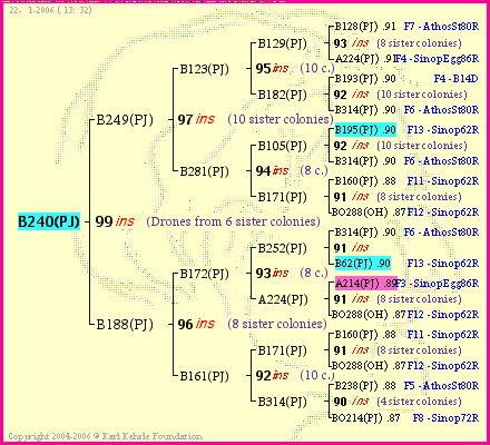 Pedigree of B240(PJ) :
four generations presented