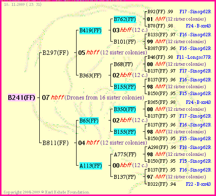 Pedigree of B241(FF) :
four generations presented