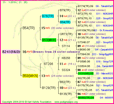 Pedigree of B241(VKO) :
four generations presented<br />it's temporarily unavailable, sorry!