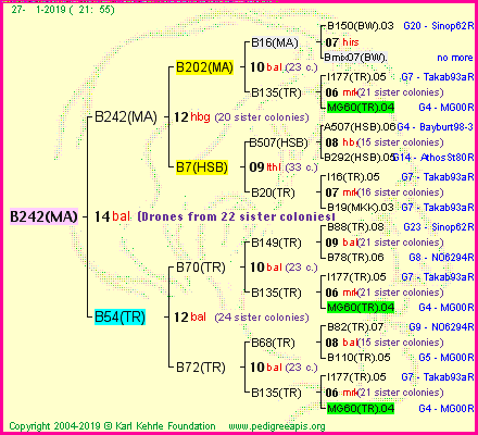 Pedigree of B242(MA) :
four generations presented
it's temporarily unavailable, sorry!