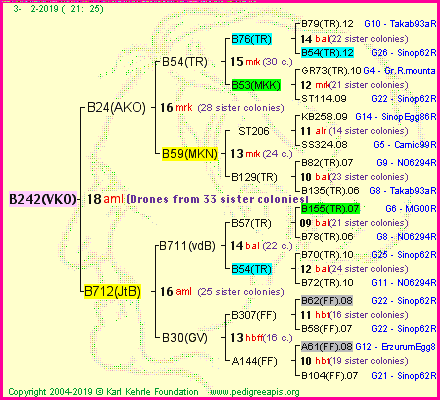 Pedigree of B242(VKO) :
four generations presented<br />it's temporarily unavailable, sorry!