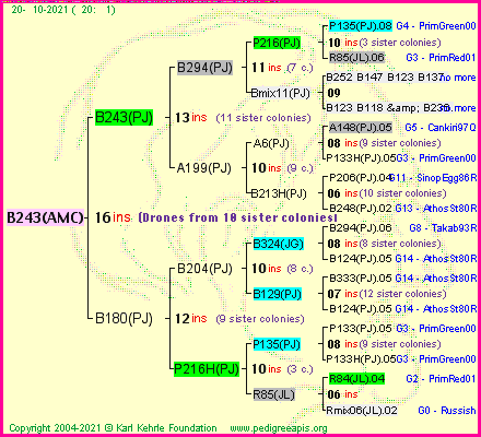 Pedigree of B243(AMC) :
four generations presented
it's temporarily unavailable, sorry!