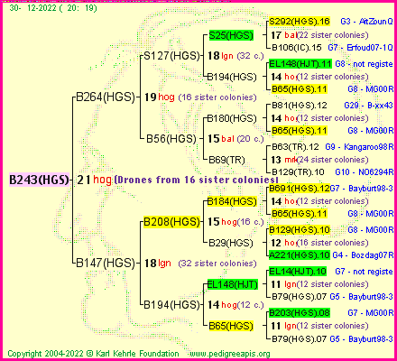 Pedigree of B243(HGS) :
four generations presented
it's temporarily unavailable, sorry!