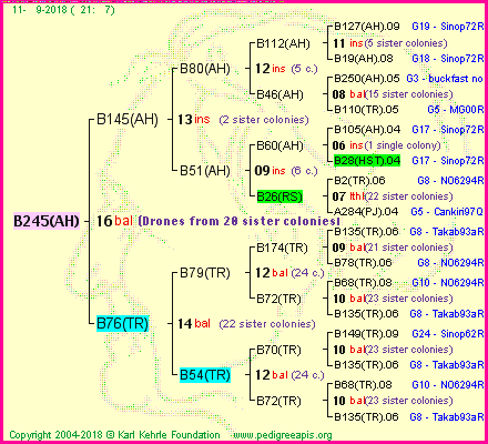 Pedigree of B245(AH) :
four generations presented