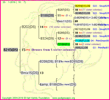 Pedigree of B245(DS) :
four generations presented<br />it's temporarily unavailable, sorry!