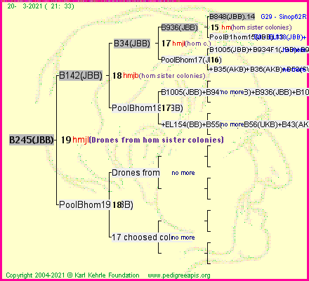 Pedigree of B245(JBB) :
four generations presented
it's temporarily unavailable, sorry!