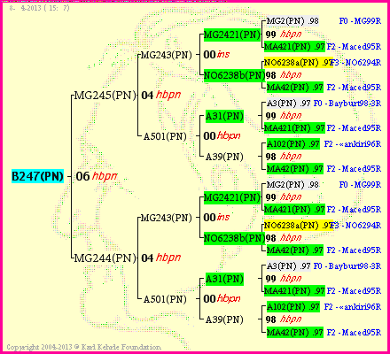 Pedigree of B247(PN) :
four generations presented