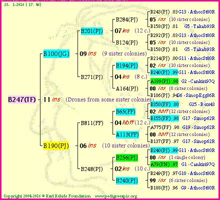 Pedigree of B247(TF) :
four generations presented<br />it's temporarily unavailable, sorry!