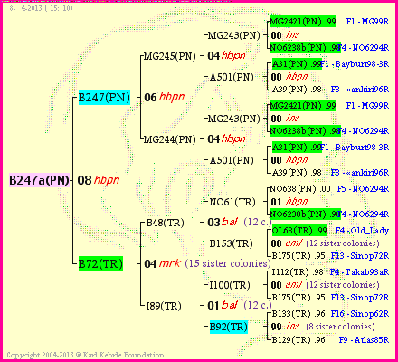 Pedigree of B247a(PN) :
four generations presented