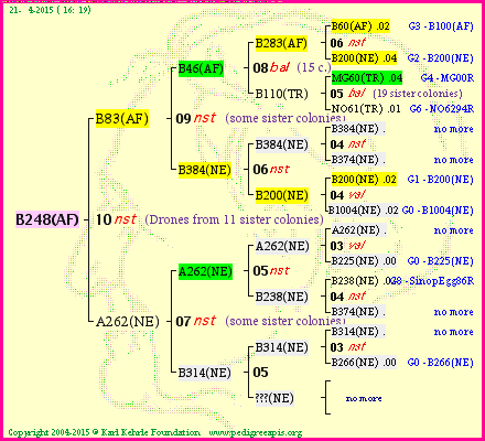 Pedigree of B248(AF) :
four generations presented