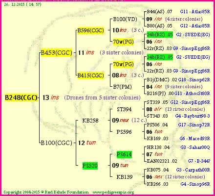 Pedigree of B248(CGC) :
four generations presented