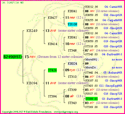 Pedigree of B249(HST) :
four generations presented