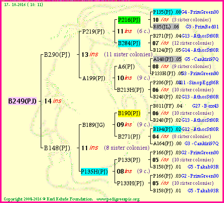 Pedigree of B249(PJ) :
four generations presented<br />it's temporarily unavailable, sorry!