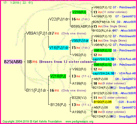 Pedigree of B25(ABR) :
four generations presented<br />it's temporarily unavailable, sorry!