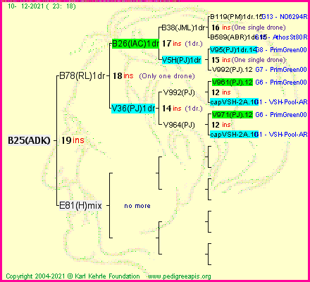 Pedigree of B25(ADK) :
four generations presented
it's temporarily unavailable, sorry!